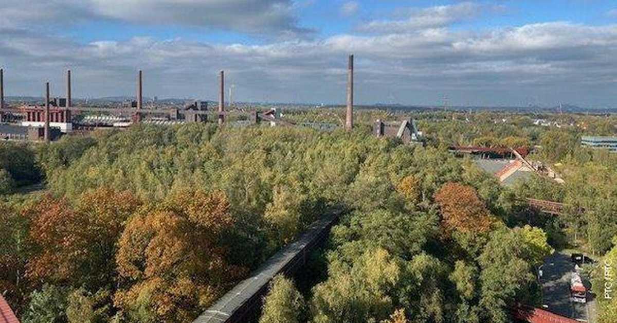 Возом по зеленој Европи: Есен