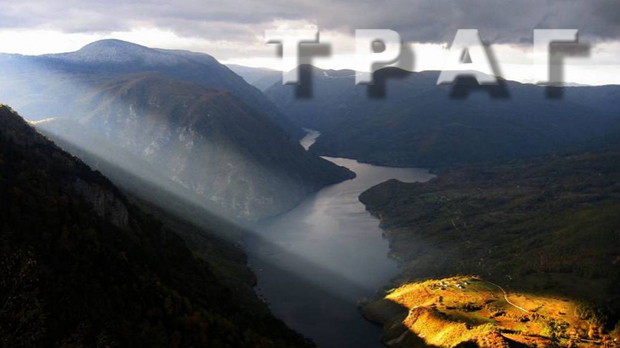 Траг: Храст – сви годови живота 