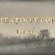 Еко минијатуре/ старе српске сорте-Тикве