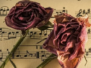 Преглед музичке недеље 