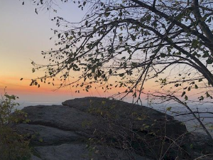 Еко минијатуре: Заштићена подручја србије – Варденик стрешер