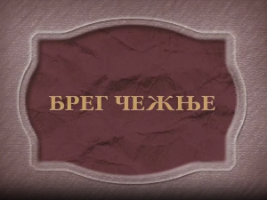 Брег чежње, филм