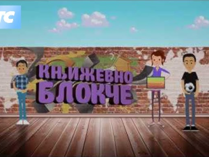 Књижевно блокче:	Роман тока свести