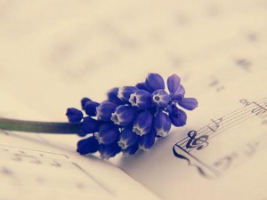 Жене у музици