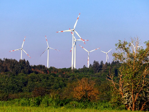 Климатско – енергетска транзиција Србије и јавне финансије. Шта је показала анализа Фискалног савета?