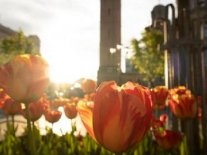 Јутарњи програм из три студија