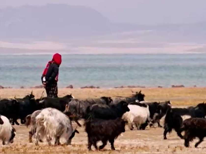 Кров света, 1. емисија