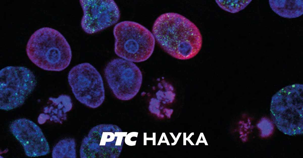 Еко перспективе - Зелена Европа, 1. емисија