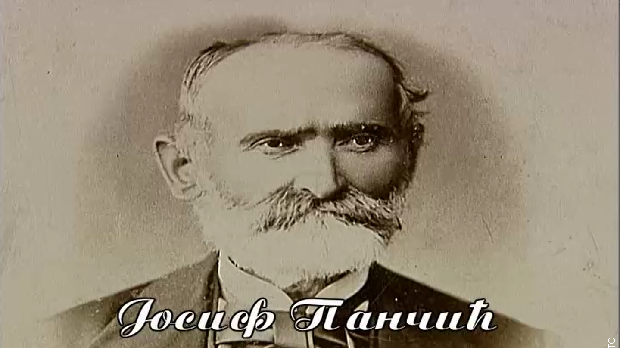 Историја науке: Јосиф Панчић