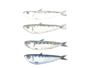 Клик: Норвешка 3