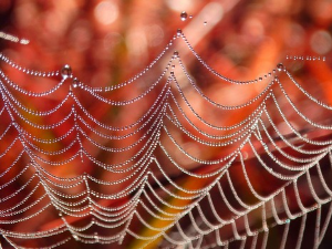 Жил Верн: Човек који је запањио 20. век