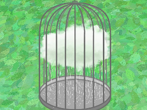 Добро јутро децо: Случајна прича