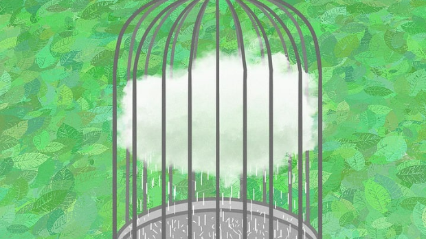 Добро јутро децо: Случајна прича (PIXABAY / PIXABAY) Добро јутро децо: Случајна прича