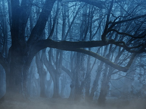 Имагинарни пејзажи