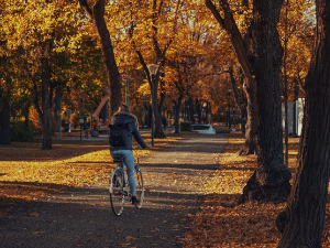 Ујутру киша, током дана разведравање, температуре до 17 степени