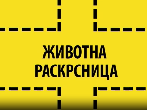 Животна раскрсница:	Социјална фобија
