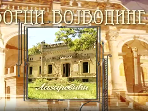 Дворци Војводине:	Лазаревићи