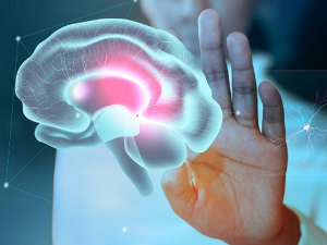 Међународни дан борбе против можданог удара Међународни дан борбе против можданог удара