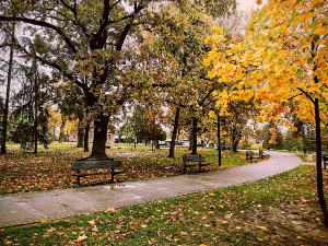 Ујутру мраз, током дана сунчано и топло - температура до 22 степена (РТС) Ујутру мраз, током дана сунчано и топло - температура до 22 степена