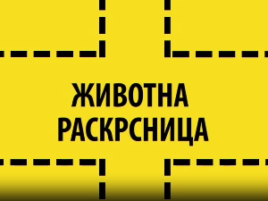 Животна раскрсница:	Крађа