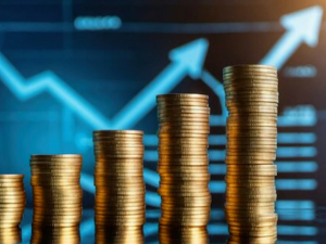 Председник Савета гувернера НБС: Српска економија отпорна на ризике, раст привреде може да се врати на четири одсто