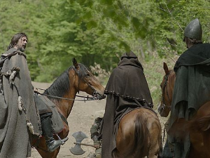 Немањићи - рађање краљевине