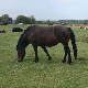 Рурални развој
