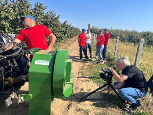 Еко перспективе: Лешник