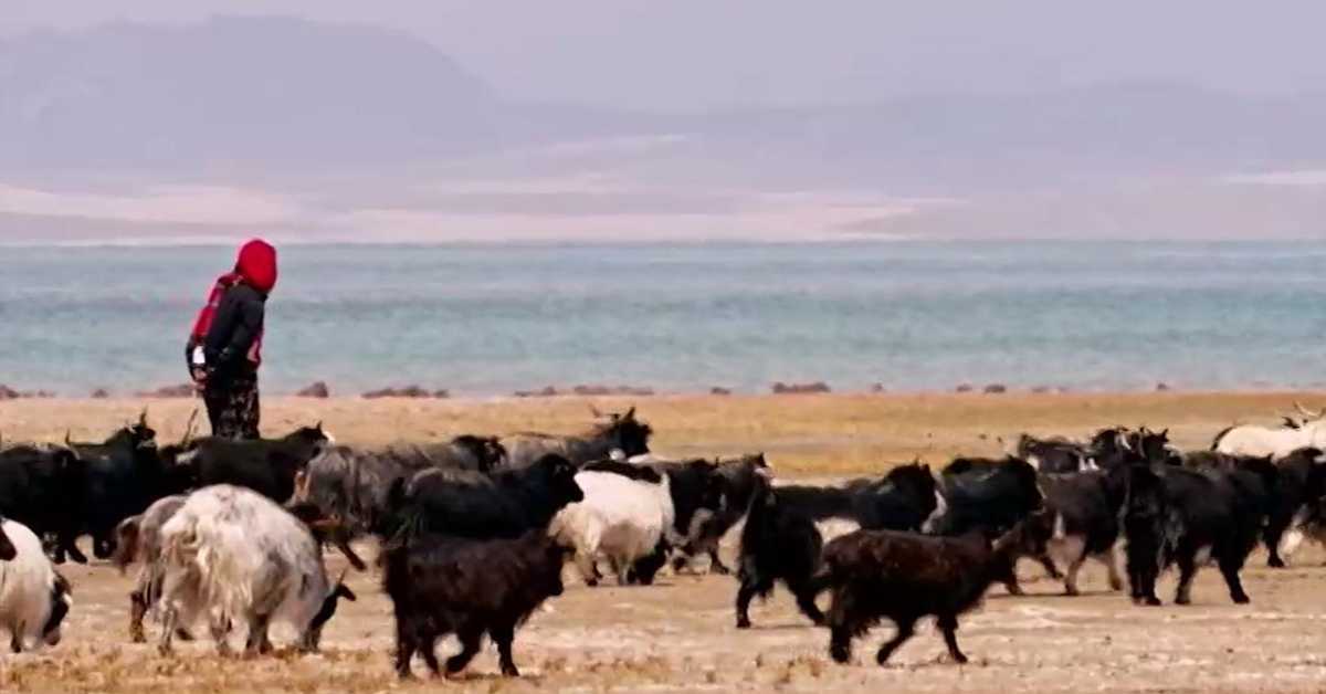 Кров света, 4. емисија