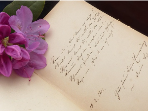 Породична прича