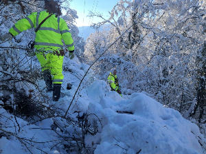Ледени дан у Србији - ванредно у 11 општина, евакуисано 37 лица, у Мачванском и Колубарском округу стабилније стање у напајању струјом 