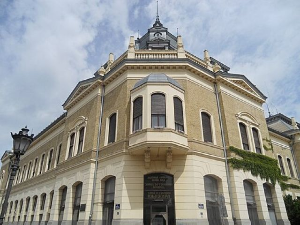 Матица српска - из 19. у 21. век