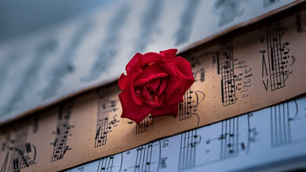 Како слушати музику: Музички класицизам