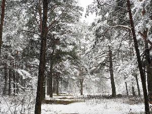 Последице обилних падавина и даље трају