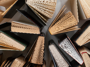 Шест романа у најужем избору за НИН-ову награду