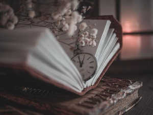 Породична прича