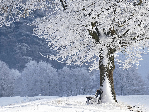 Кад зима завлада
