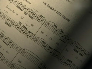 Зборник радова о етномузиколошком доприносу Тихомира Вујичића  