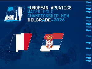 Parlez vous francais? 