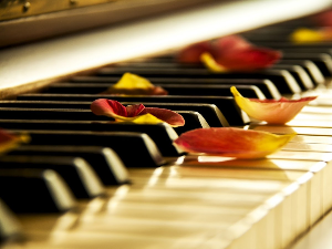 Избор недељног хита класичне музике