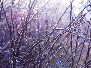 Ведро и хладно, уз мраз и кошаву – највиша дневна температура до 6 степени