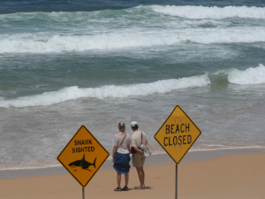 Четири напада ајкула за два дана – затворене плаже у делу Аустралије