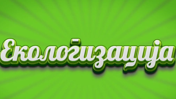 Екологизација: Градске пчеле (R)