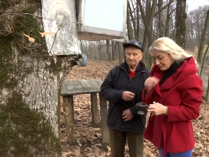 Подриње: Молитва у импровизованом светилишту крај храста