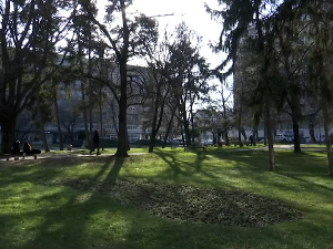 Светски дан образовања о заштити животне средине 