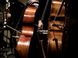 Жица А на Мишковом контрабасу