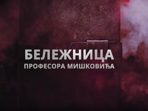 Бележница професора Мишковића, 11-12