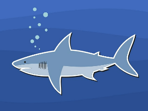 Јутарњи путопис 5