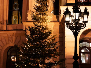 Ноћне променаде