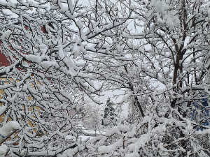 Свети Сава и светосавље – путеводитељи и извориште свих наших токова   